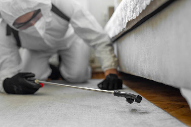 Professional Bed Bug Control technician working in Huntington, IN