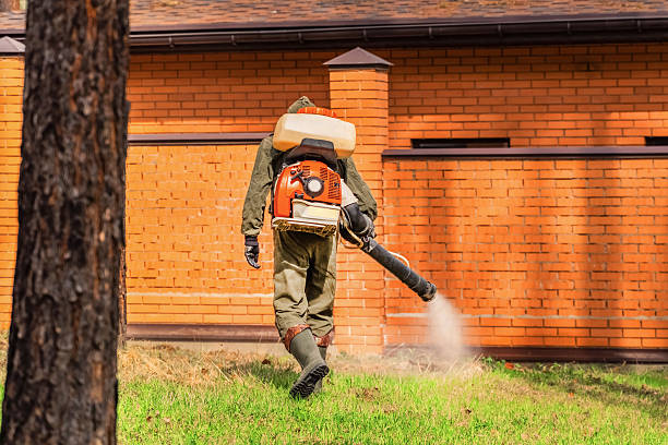 Trusted Cockroach Control service in Huntington, IN - Nex Pest Control